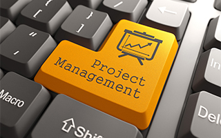 PROJECT MANAGER
