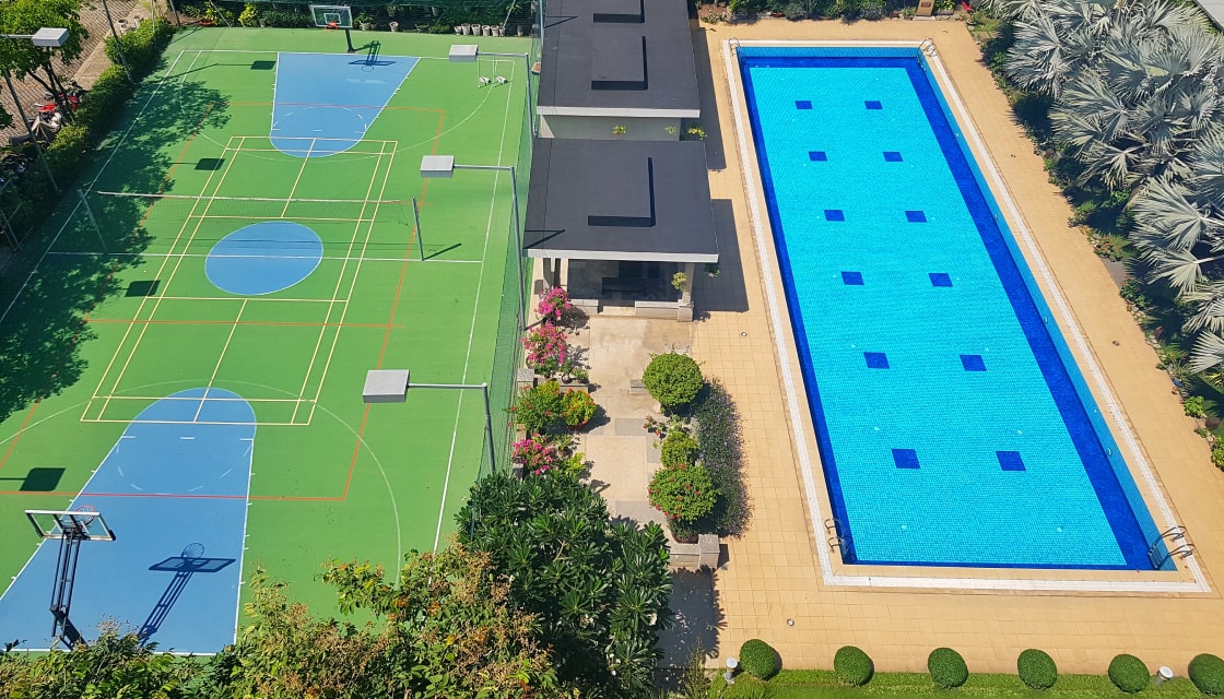 Basketball court